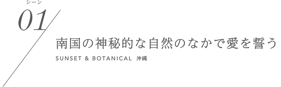 シーン01/南国の神秘的な自然のなかで愛を誓う SUNSET&BOTANICAL 沖縄