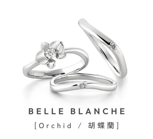 BELLE BLANCHE[Orchid / 胡蝶蘭]